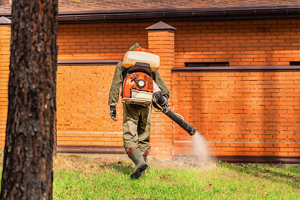 Bed Bug Clearance Verification and Documentation in Flippin